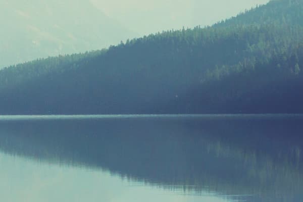 E-commerce Dashboard